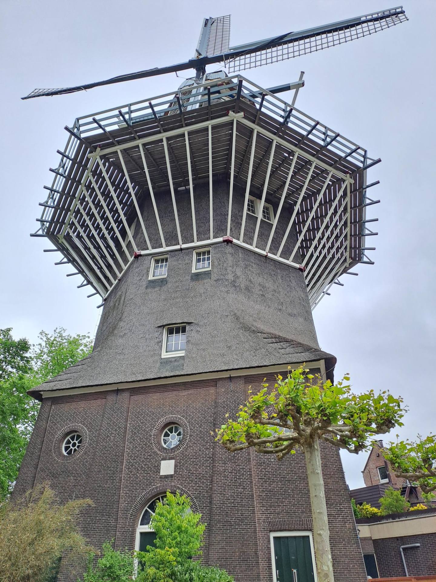 Job shadowing na Cygnus Gymnasium v Amsterdamu