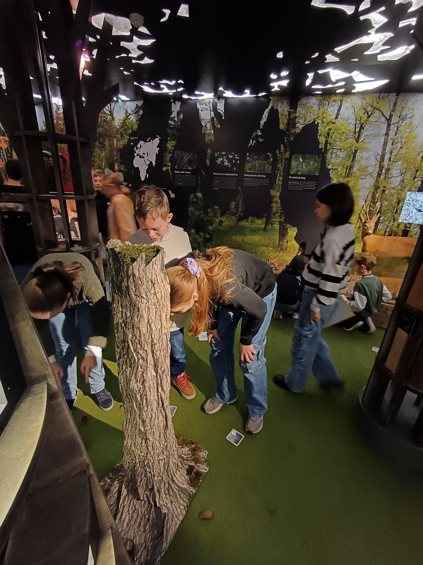 Primáni vyřešili loupež