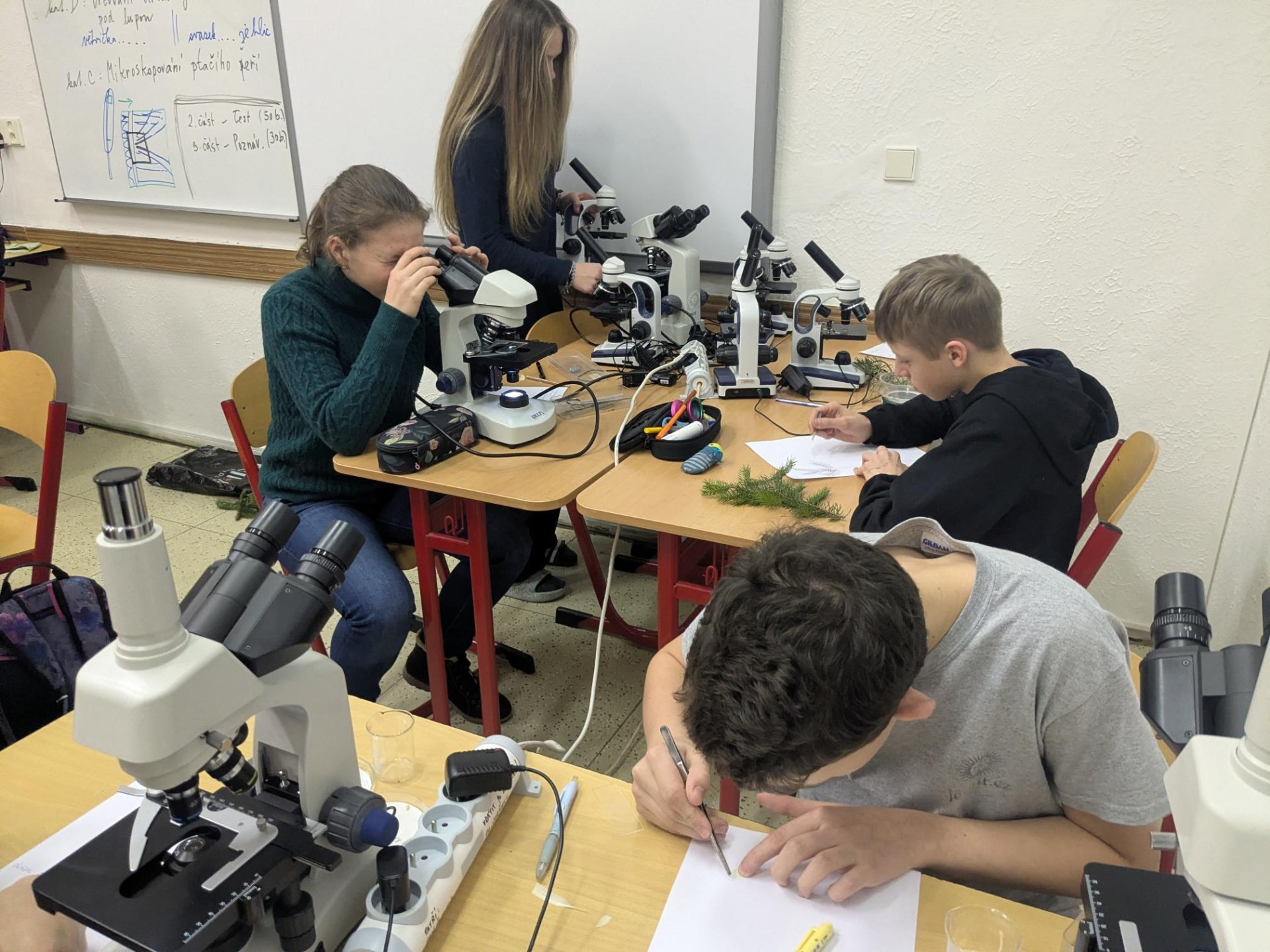 Školní kolo 60. ročníku Biologické olympiády v kategorii C a D